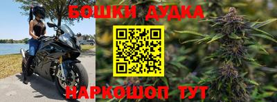 гидра Славянск-на-Кубани