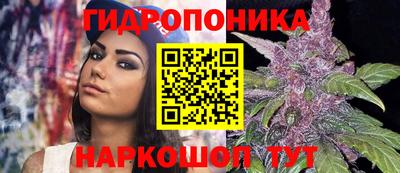 гидра Славянск-на-Кубани