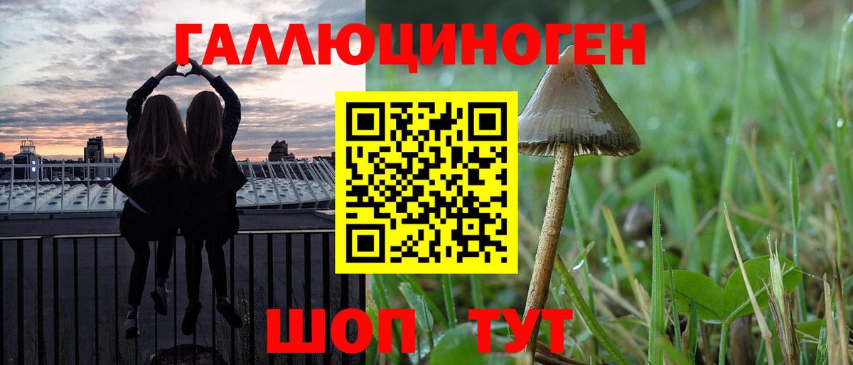 Наро-Фоминск  Псилоцибиновые грибы ЛСД  Вход с VPN 