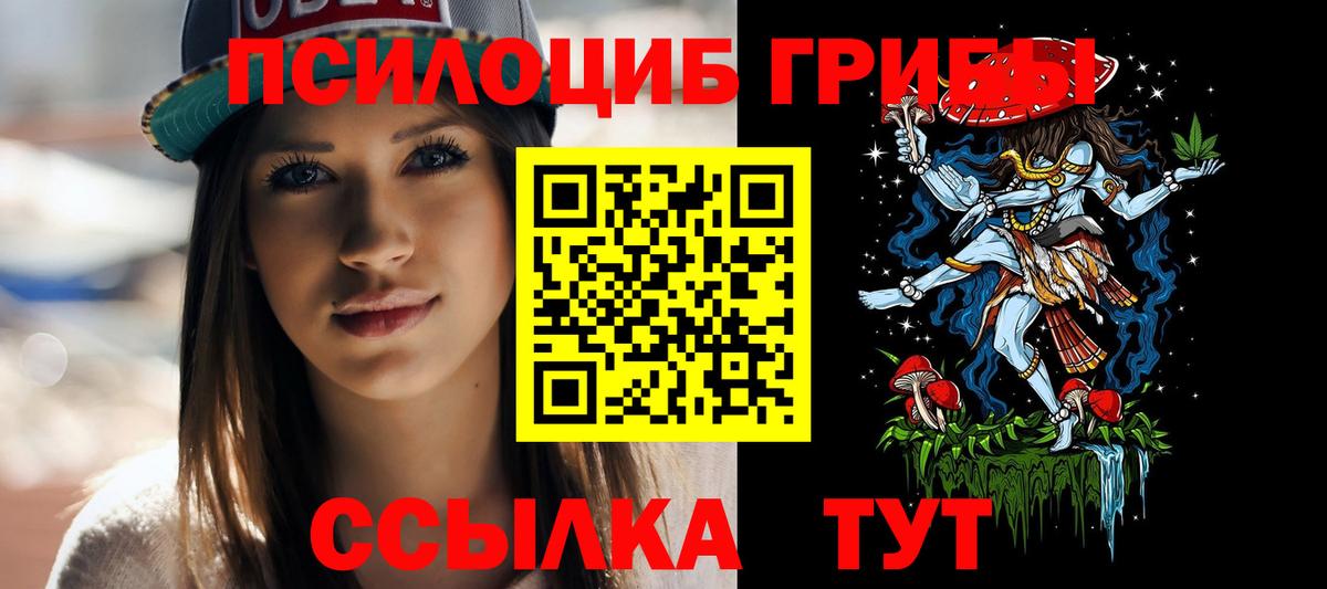 Псилоцибиновые грибы мицелий Наро-Фоминск